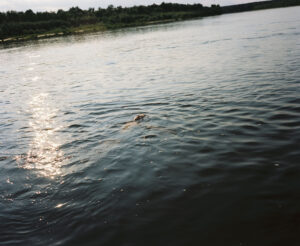 Someone swimming on their back in the lake.