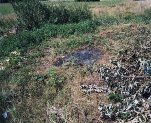 A burnt patch can be seen in the middle of the meadow.
