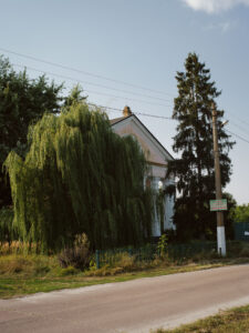 A house is discernible behind two trees.