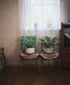 Houseplants in pots stand on two adjacent chairs.